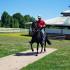 New At the Germantown Charity Horse Show: The Paso Fino Horse